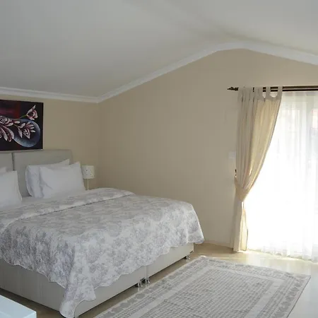 Berg Otel 3*