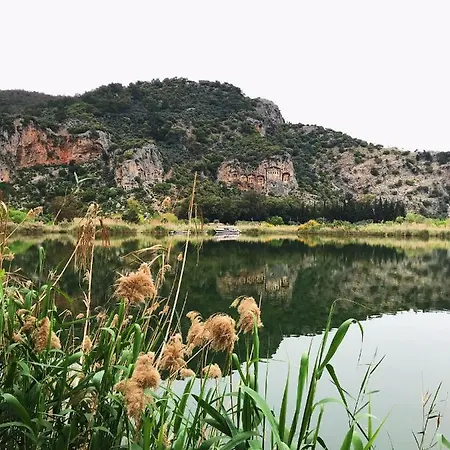 Berg Отель